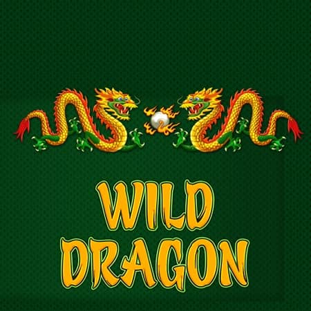 Wild Dragon