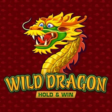 Wild Dragon Hold & Win
