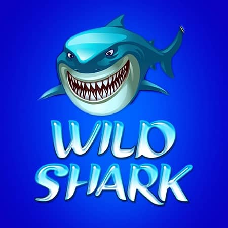 Wild Shark