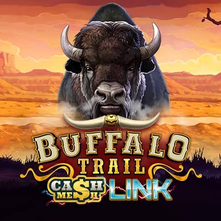 Buffalo Trail Cash Mesh LINK
