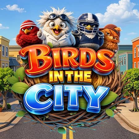 Birds in the City