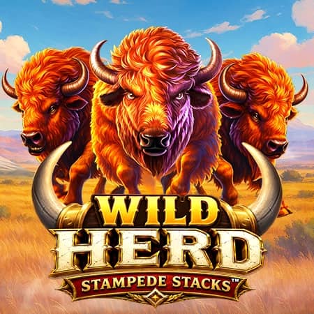 Wild Herd Stampede Stacks