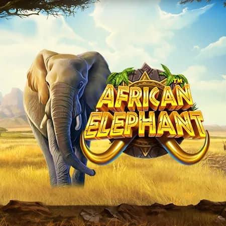 African Elephant