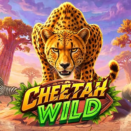 Cheetah Wild