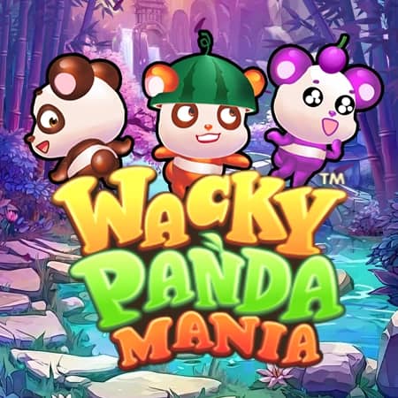 Wacky Panda Mania