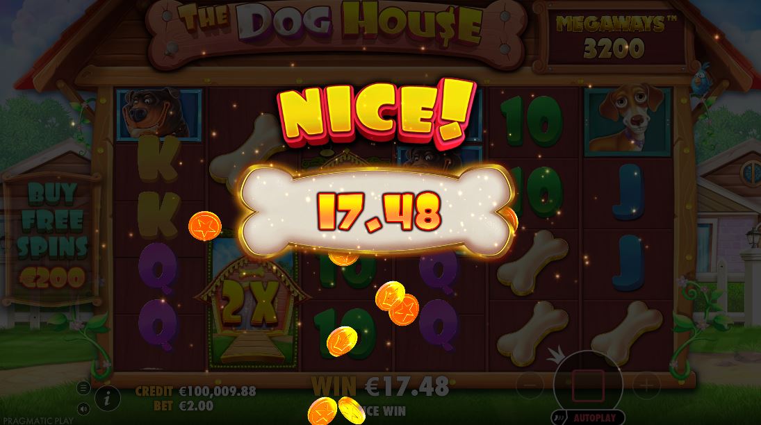 The Dog House Megaways Rules And Gameplay