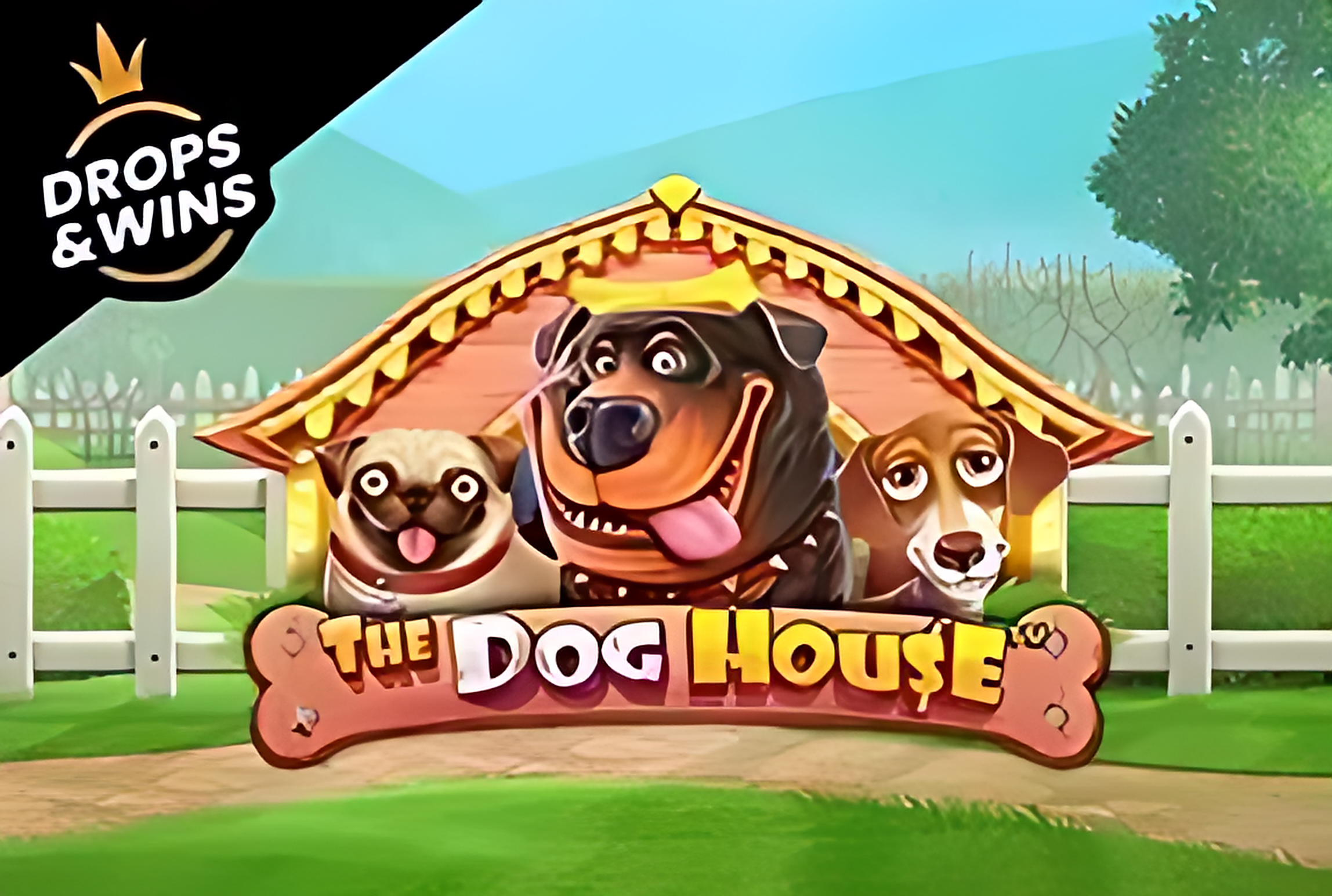 The Dog House