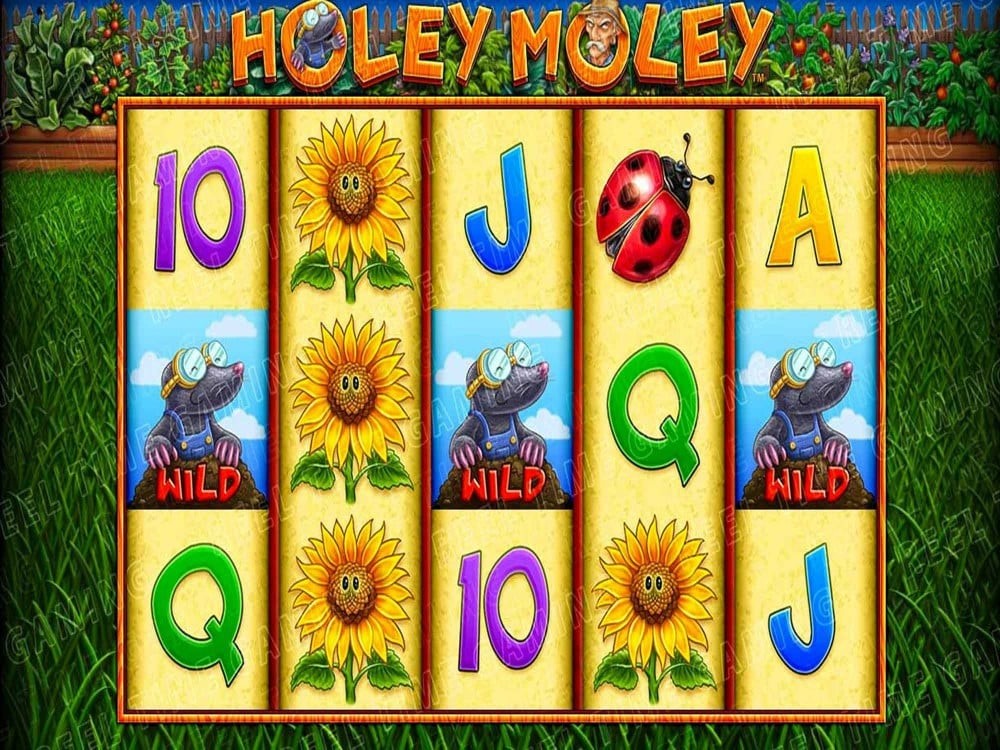 Bonusi i Posebne Funkcije Igre Holey Moley