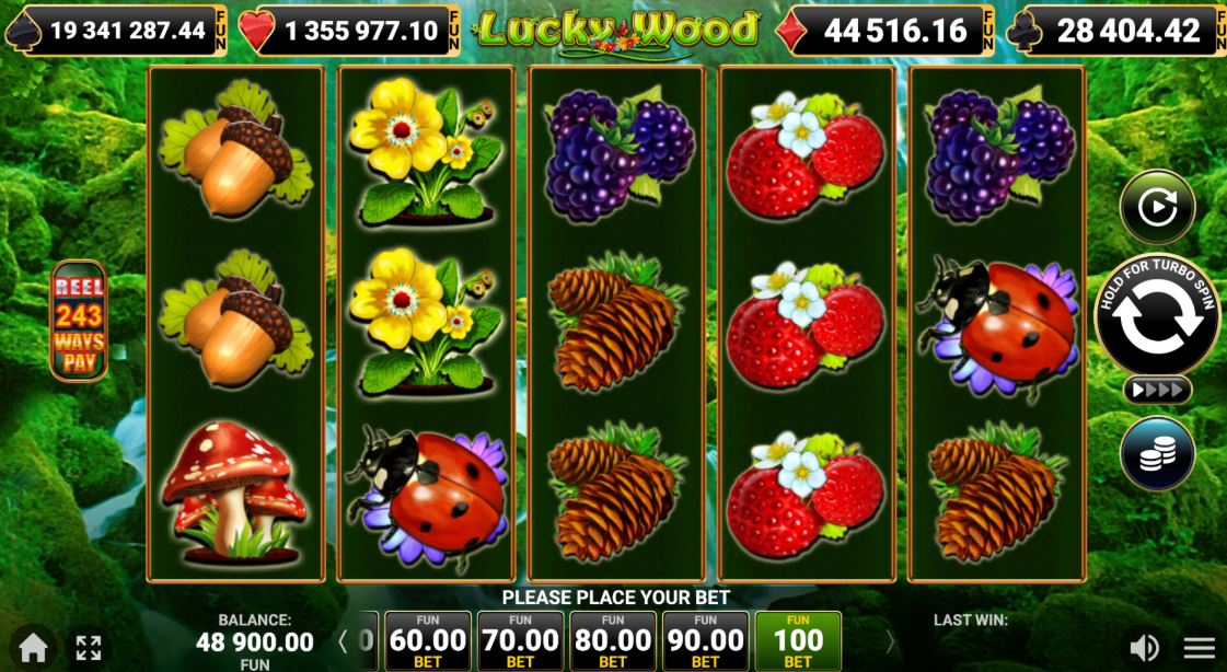 Bonusi i Posebne Funkcije Igre Lucky Wood
